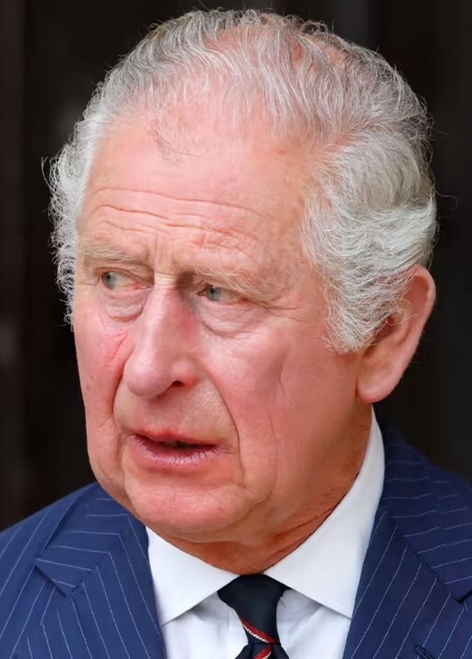 الأمير تشارلز يوجه رسالة هامة بمناسبة اليوم العالمي للشباب