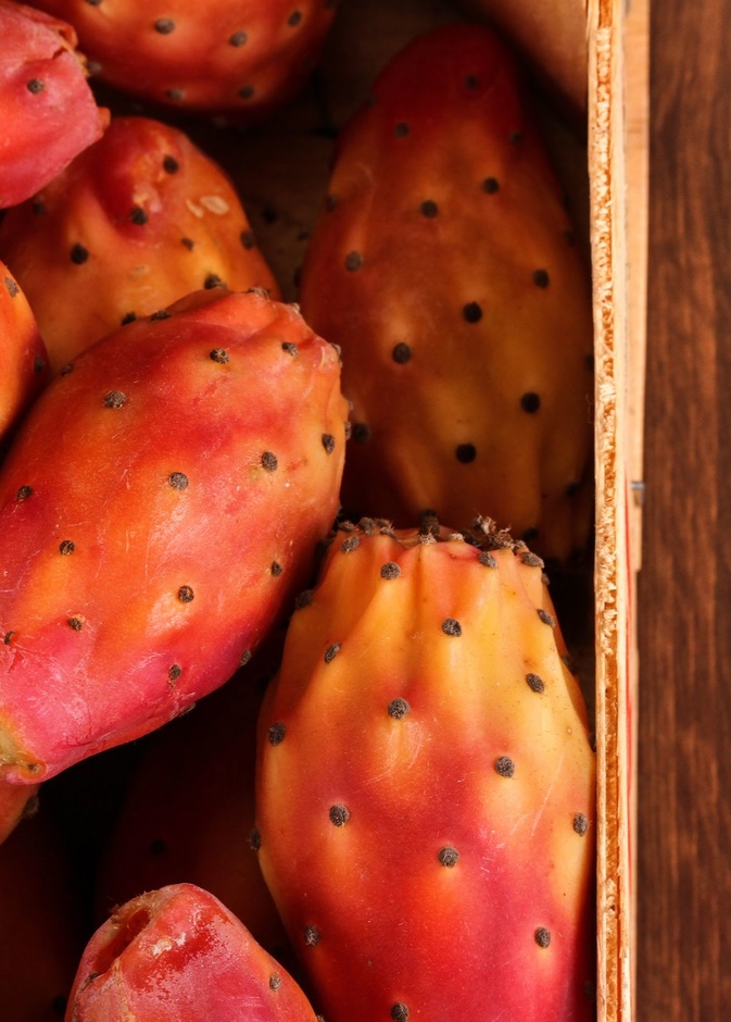 هذا الصيف.. تناولي التين الشوكي للإستفادة من فوائده الصحية المهمة