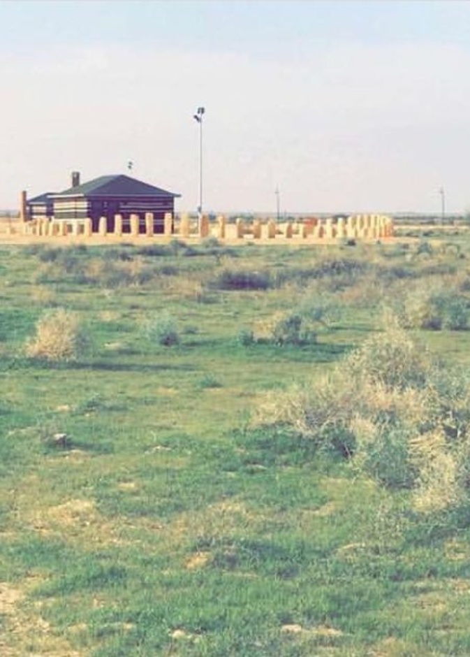 أجواء ممتعة للجميع في اليوم الوطني السعودي في منتزه الثمامة البري - المصدر @Thumamahcamps1.