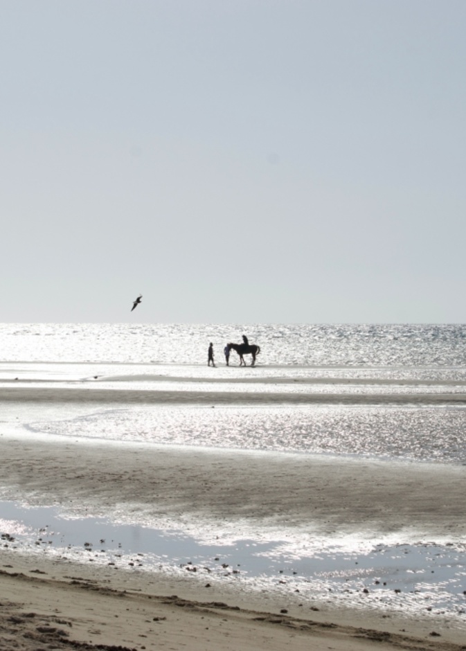 وجهات سياحية مثالية للعوائل في السعودية