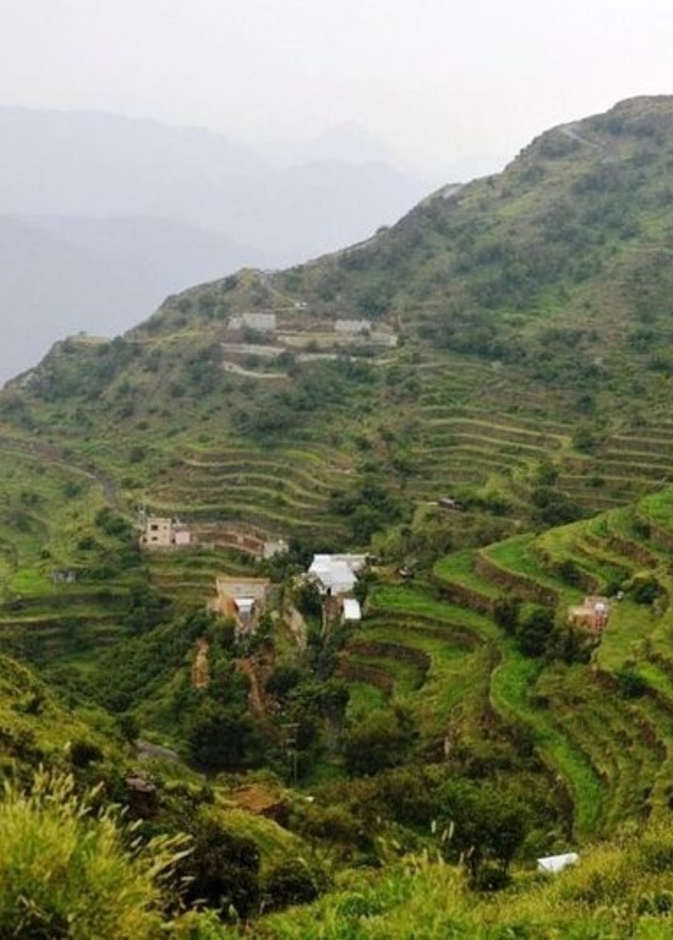 4 منتزهات سعودية ساحرة في أحضان الجبال.. تجربة مشوقة في عطلة نهاية الأسبوع