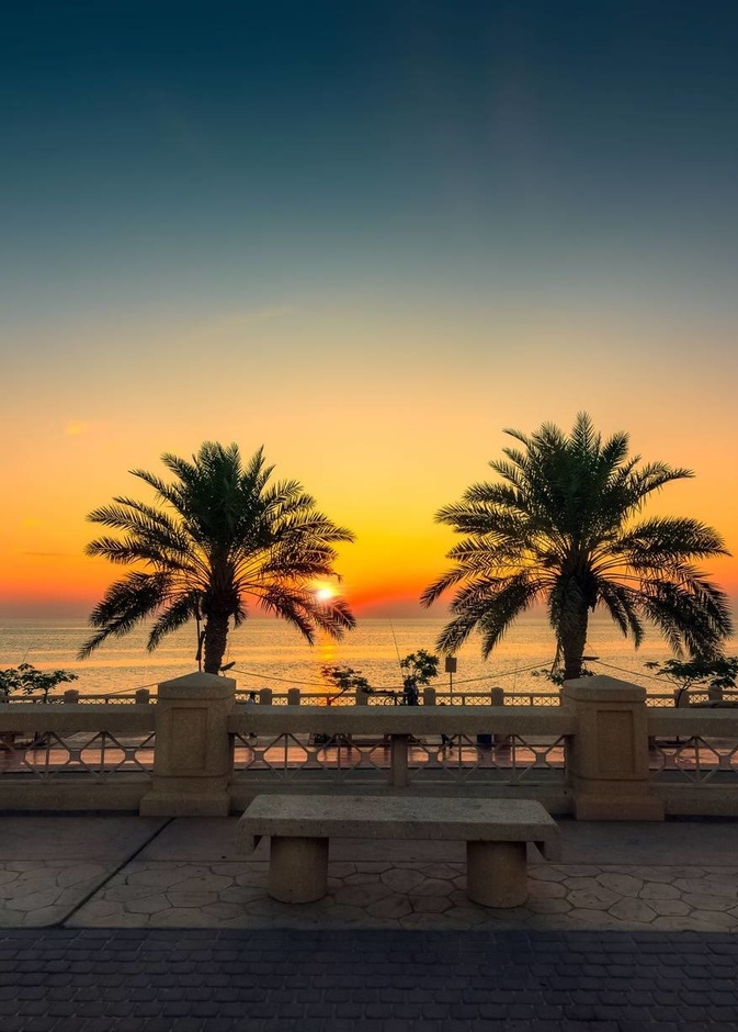 من ضباب أبها إلى شواطئ جدة.. 4 أيام من المغامرة والإثارة في 16 وجهة ساحرة