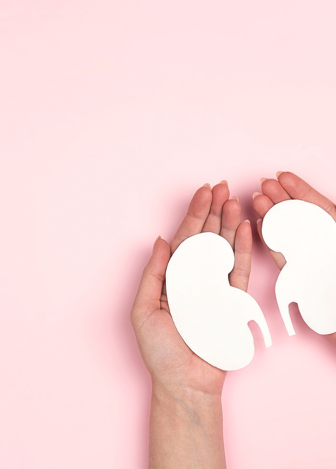 أغذية تساعد على حماية الكلى من الأمراض