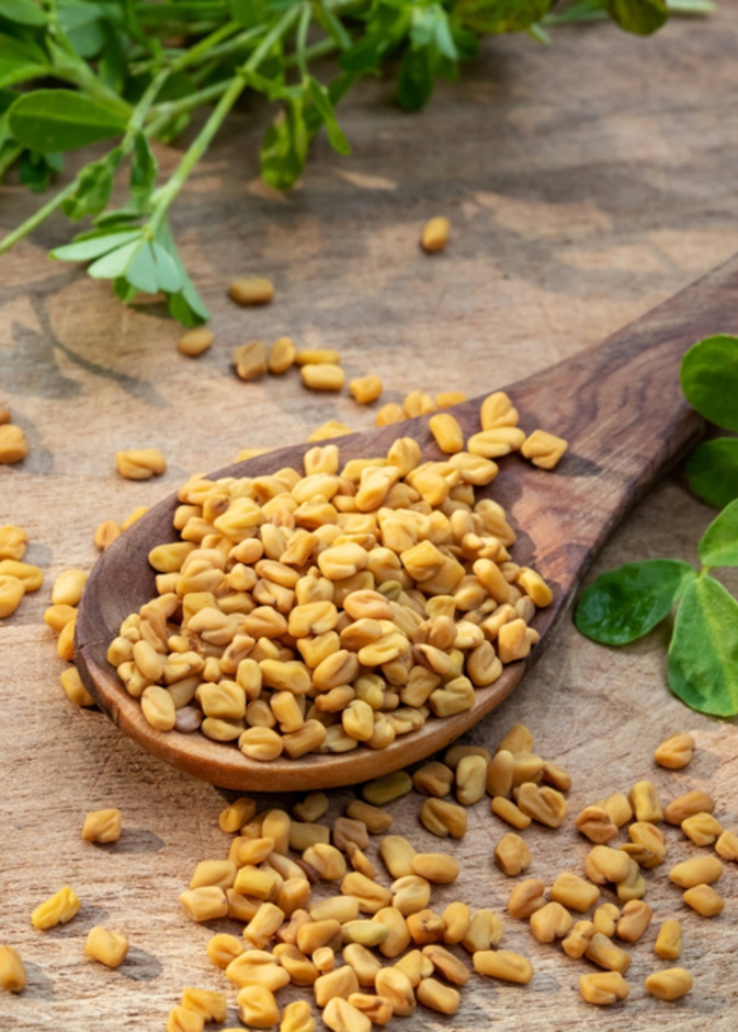 الحلبة.. منجم فوائد للنساء