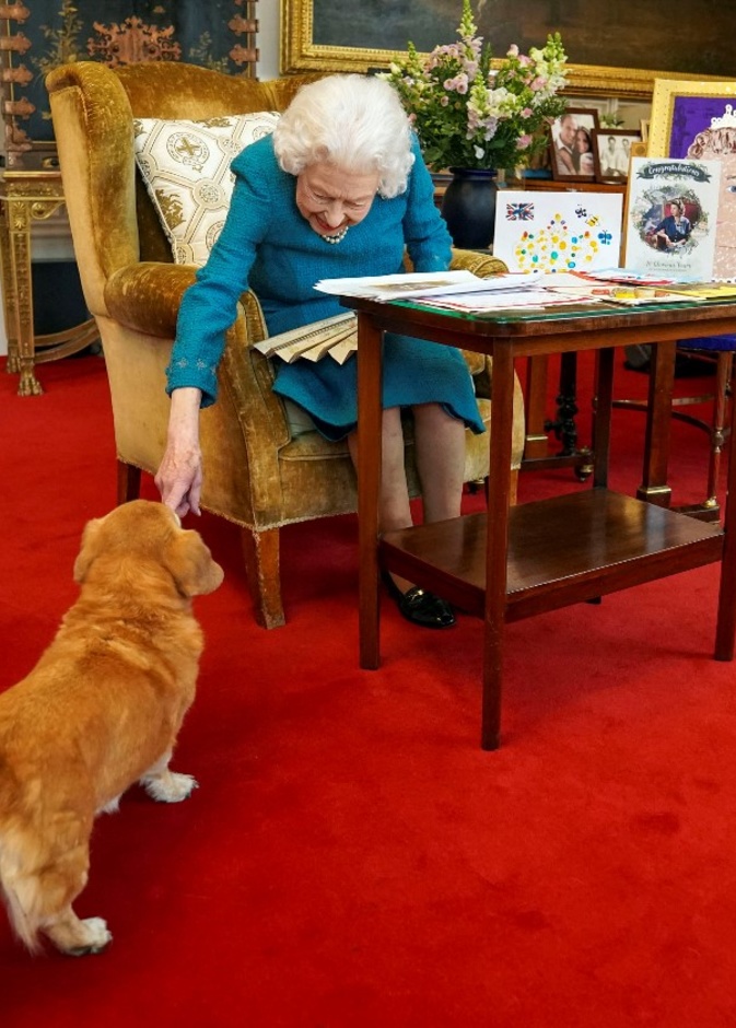 أين تذهب كلاب إليزابيث الثانية ملكة بريطانيا بعد وفاتها؟