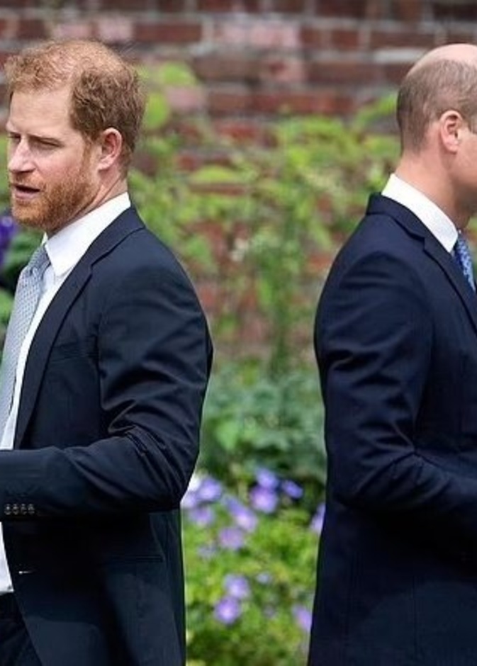 كيف يجعل ويليام وهاري "ديانا" حاضرة في ذاكرة أطفالهما؟  