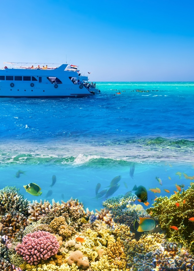 قائمة بالشواطئ التي اختارها المشاهير لممارسة رياضة الغطس.. وهكذا استعرضوا جمال الحياة تحت الماء 