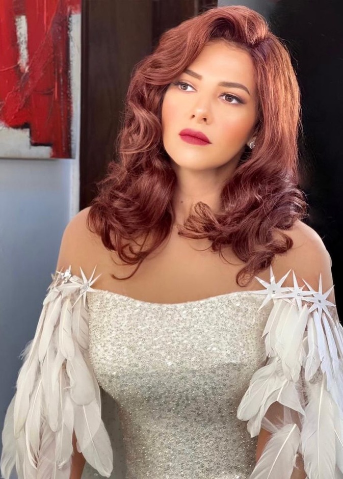  دنيا سمير غانم 