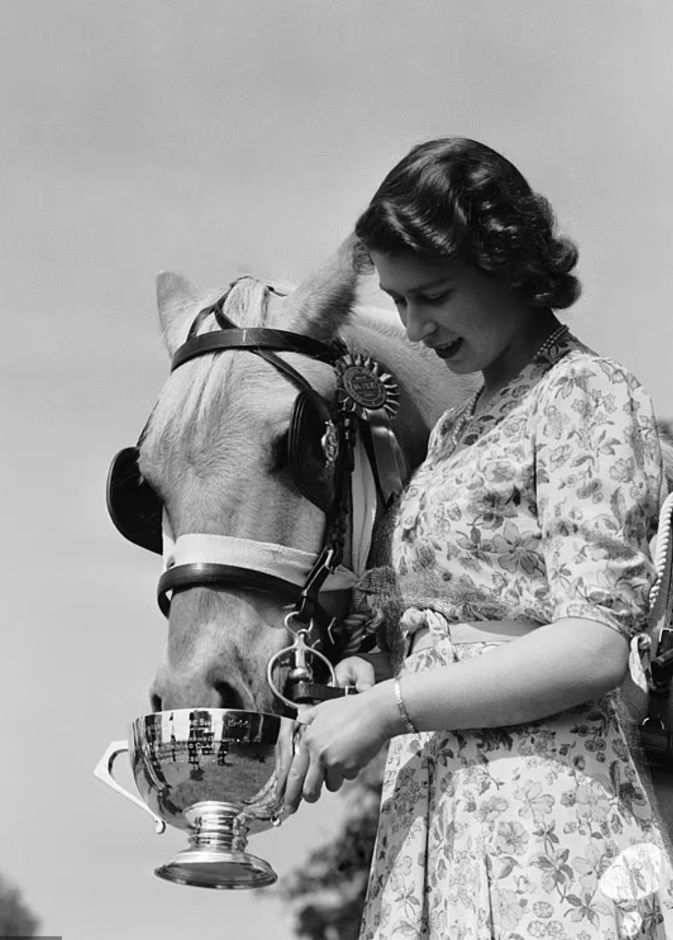 الملك تشارلز يعرض خيول السباق الملكية التي ورثها عن والدته للبيع