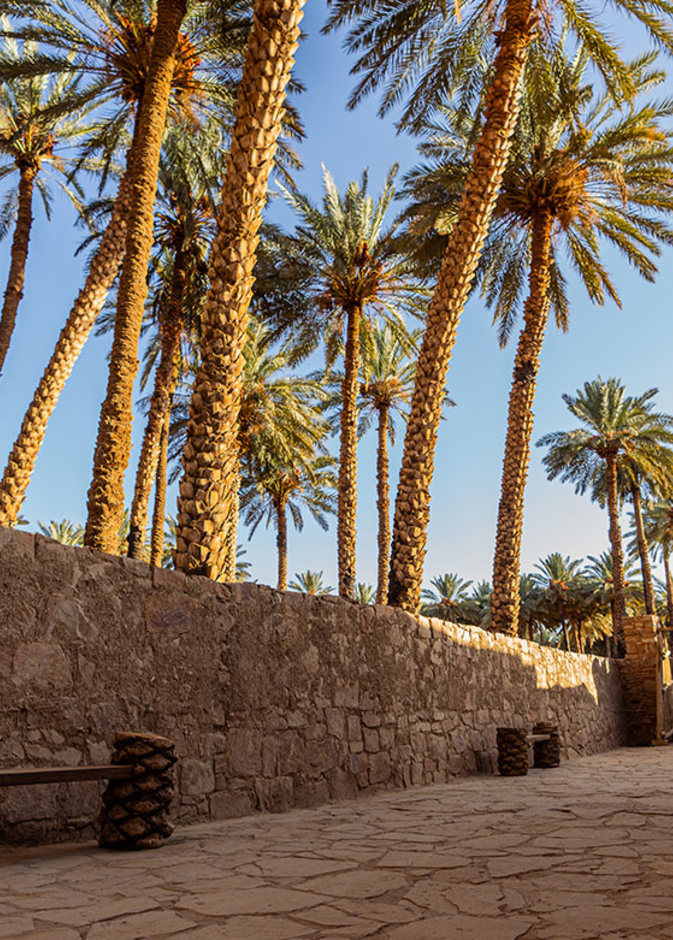 5 تجارب ساحرة تنتظر عشاق التراث والتاريخ في تيماء