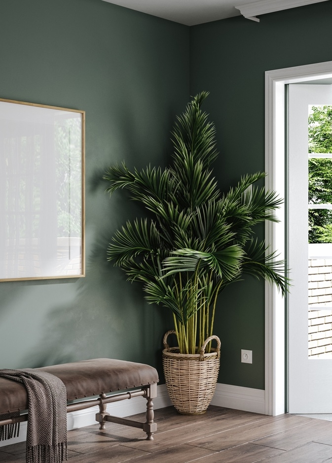 8 طرق لإضافة لمسة مبهجة من اللون إلى مدخل المنزل