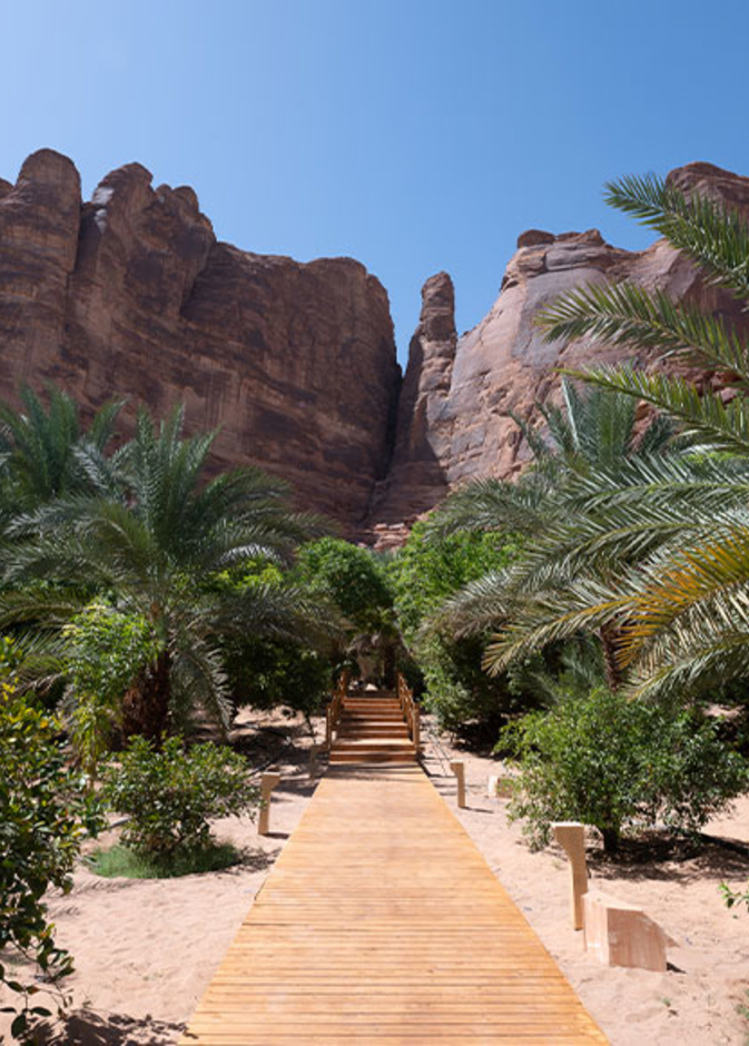 دروس يوغا وسط المناظر الطبيعية في فعالية فايف سنسِس سانكشواري