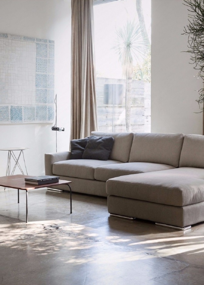 أحواض النباتات تزيين غرفة المعيشة