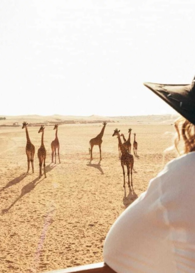 استكشفوا الحياة البرية في سفاري نوفا