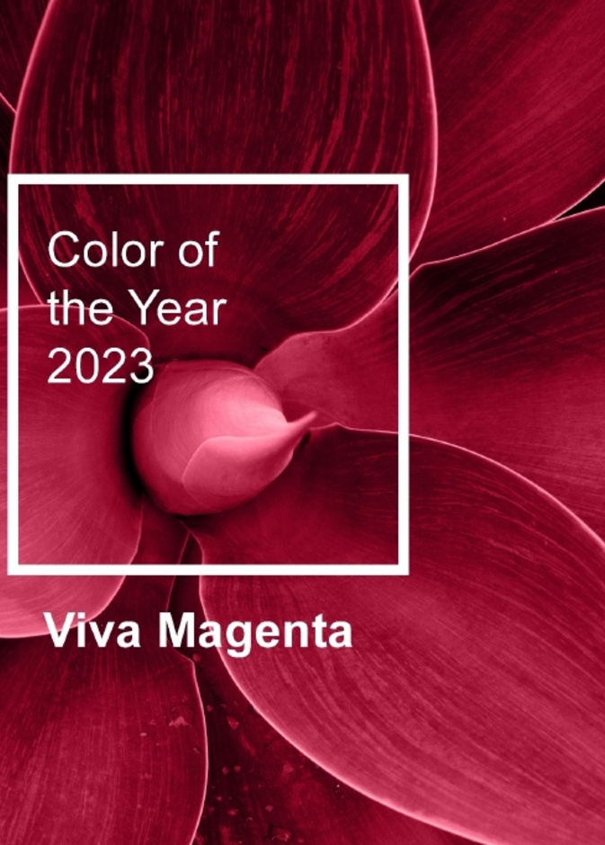 تألقي في عام 2023 باللون المناسب لكِ وفقًا لبرجك