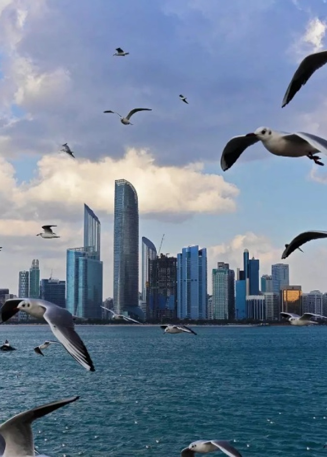 أفضل 10 معالم سياحية يمكنكم زيارتها في أبوظبي