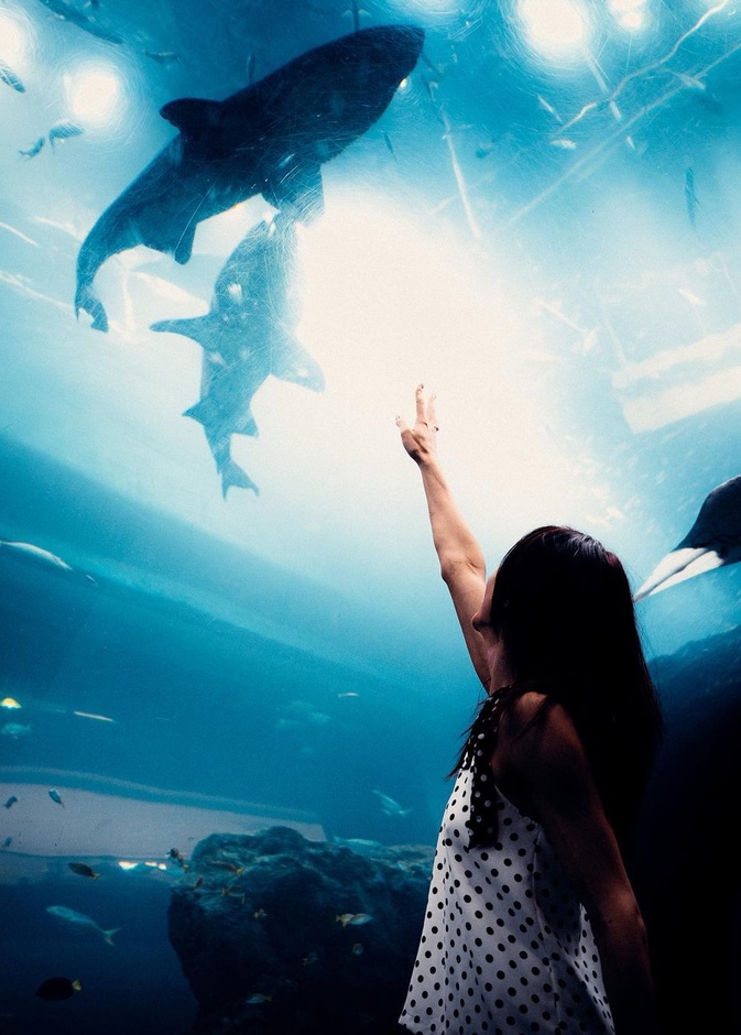 7 تجارب ترفيهية عائلية لا تفوتوها في دبي 