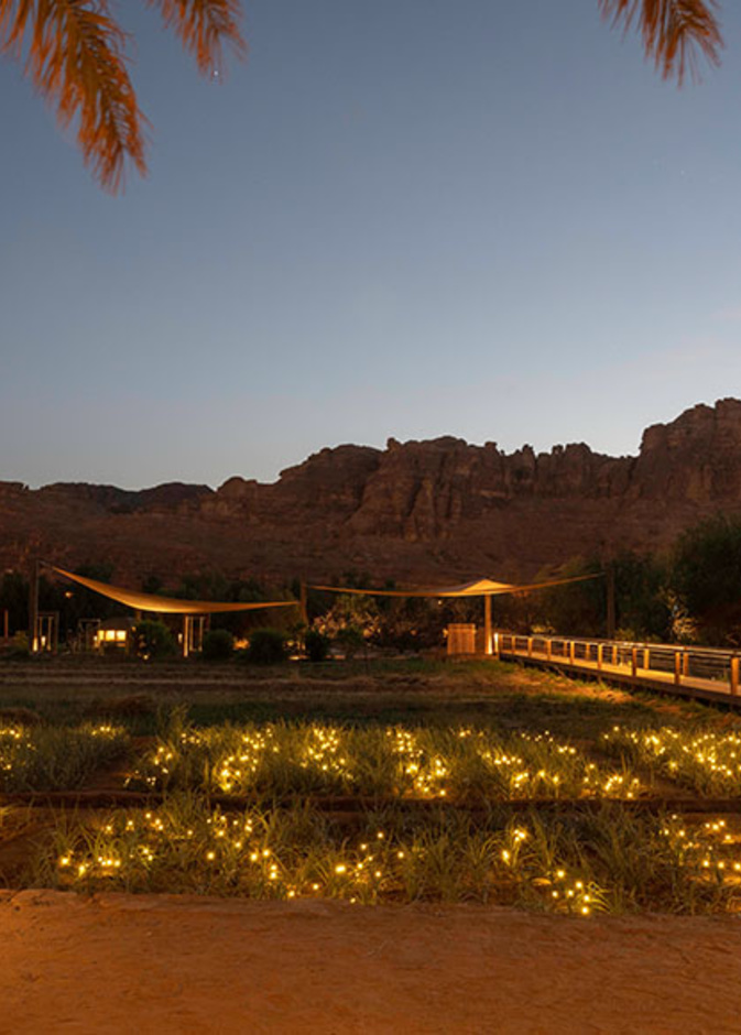 ديمومة