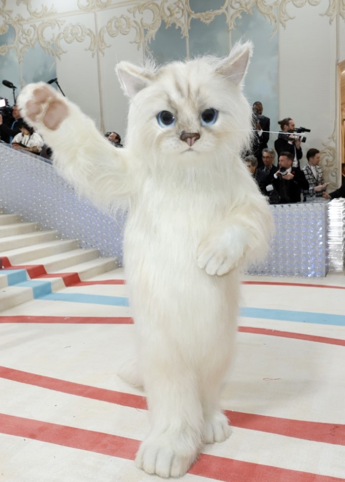 الإشادة بشوبيت في Met Gala 2023