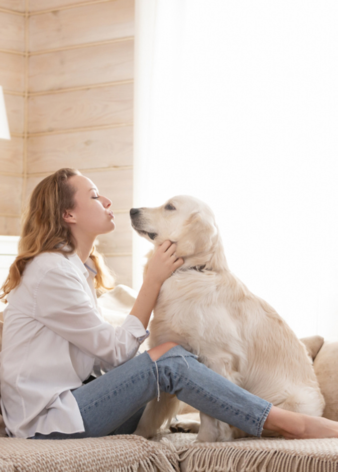 إليك فوائد تربية الحيوانات الأليفة وكيفية التعامل معهم خصوصًا أثناء السفر