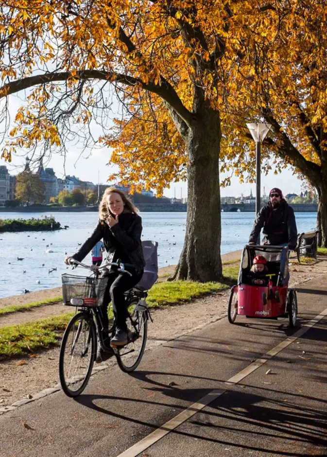 12 مدينة صديقة للدراجات في العالم