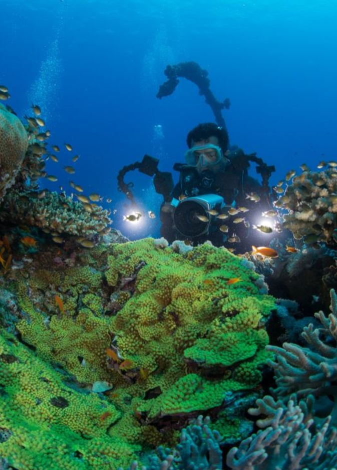 تعشقين الطبيعة والأجواء البحرية.. إليك أجمل 7 تجارب يمكنك الاستمتاع بها في ينبع