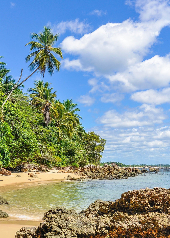 خططي لرحلتك السياحية القادمة في أجمل الجزر البرازيلية