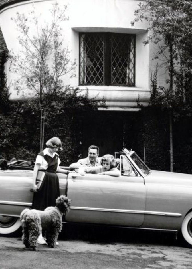 منزل قصص والت ديزني