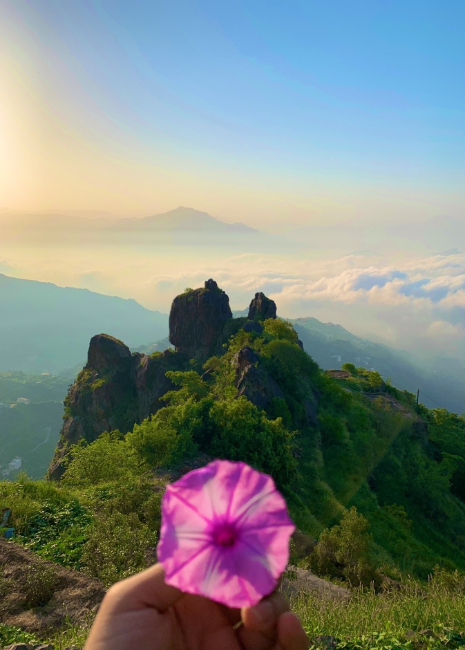 كنوز الطبيعة والتراث الأصيل.. إليكم 6 تجارب مشوقة في فيفاء السعودية