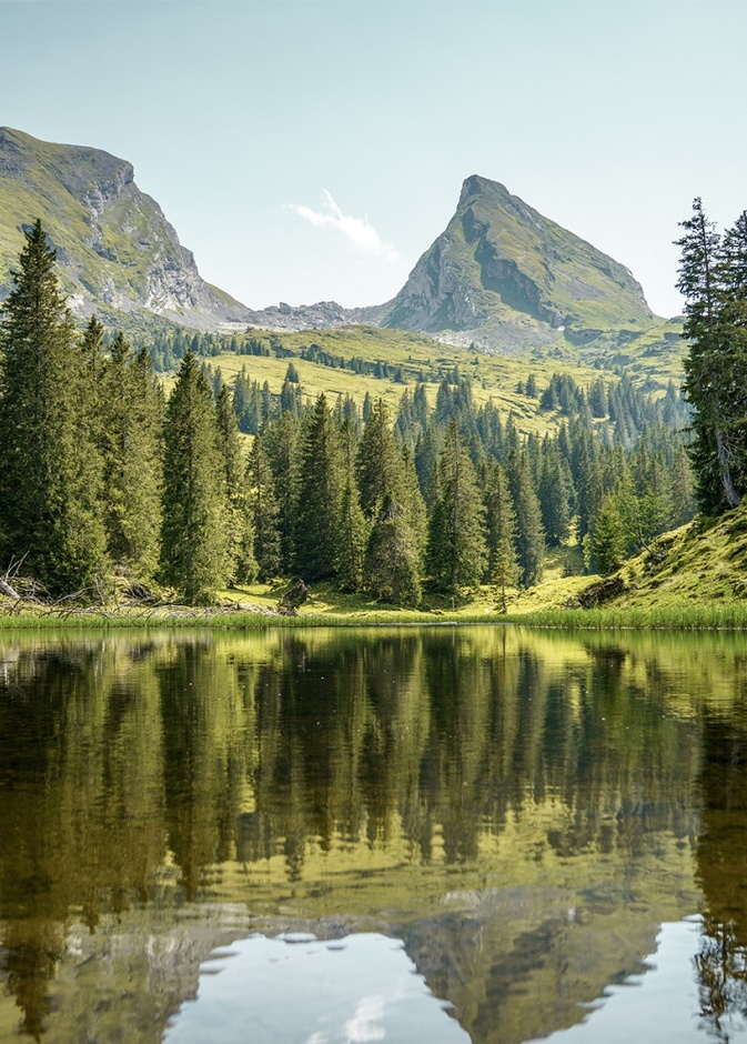 سويسرا.. الوجهة المثالية للسفر العلاجي 