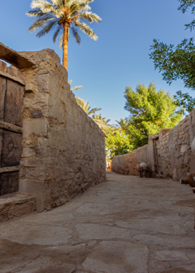 مخيم تيماء.. تجربة مليئة بأصالة وتقاليد الصحراء الساحرة بالعلا