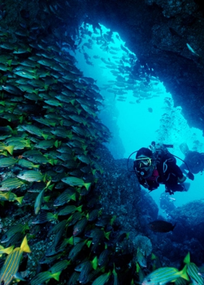 أفضل مواقع الغوص في العالم.. ضعيها على أجندة رحلاتك السياحية