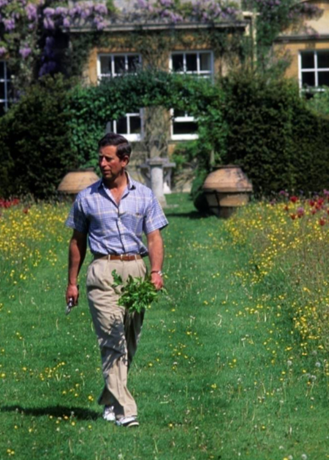 إنشاء مزرعة عضوية في هايجروف Highgrove