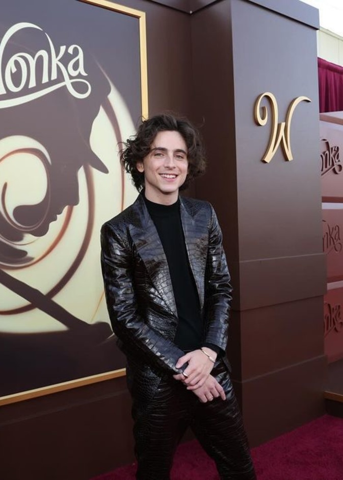 من الطفولة للشباب.. أدوار بارزة للنجم تيموثي شالاميت جعلته في الصدارة بالتزامن مع عرض فيلم "Wonka"