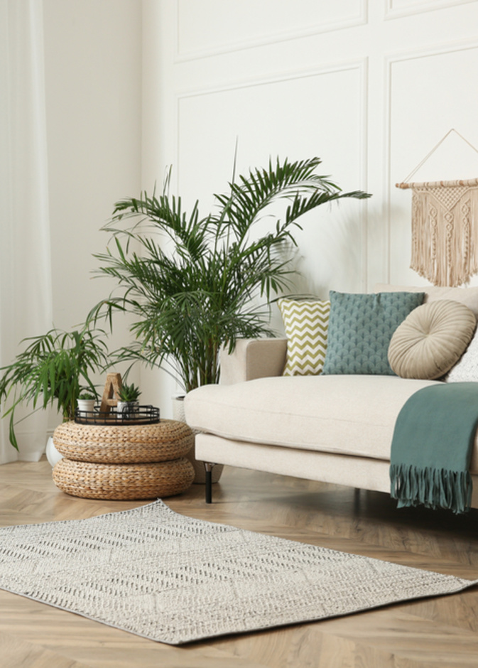 اختيار السجاد الصغير الحجم، يجعل الغرفة تبدو غير مكتملة وعارية