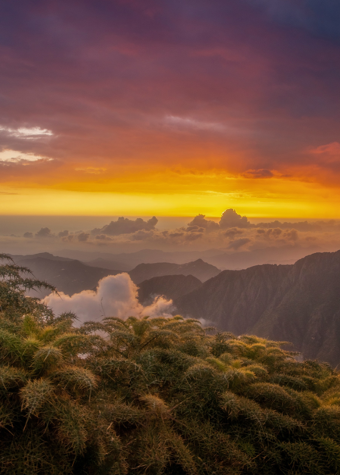 تحت شعار "تعرّف عليها".. ملتقى السياحة السعودي الثاني يطلق أعماله في الرياض