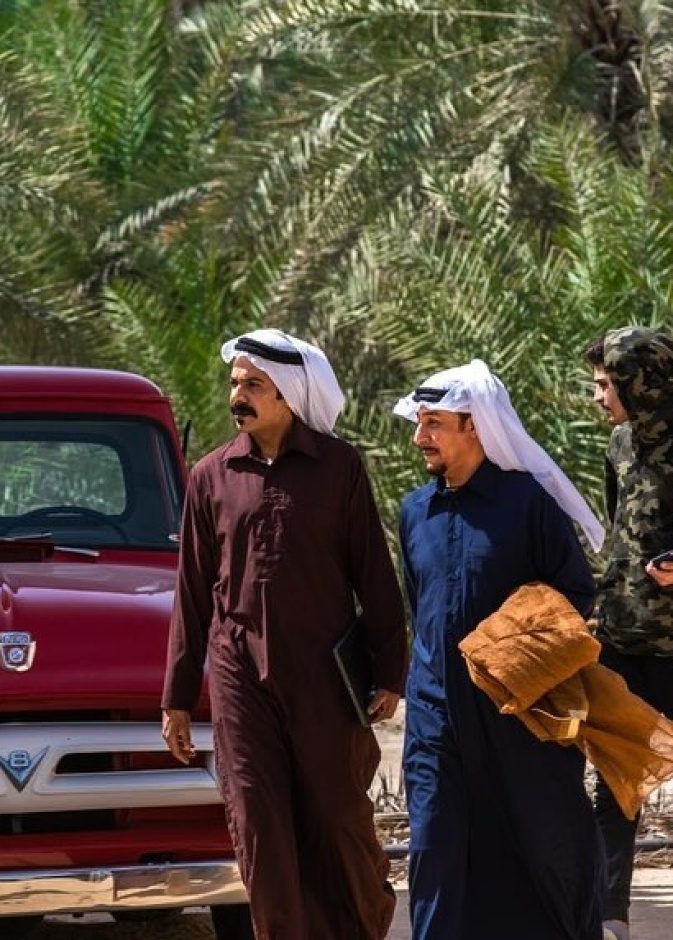 خيوط المعازيب 