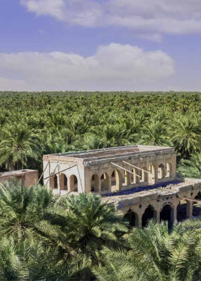 تجربة سياحية استثنائية من قلب الأحساء.. ثلاث منتجعات عالمية تنتظر زوار الواحة الخضراء