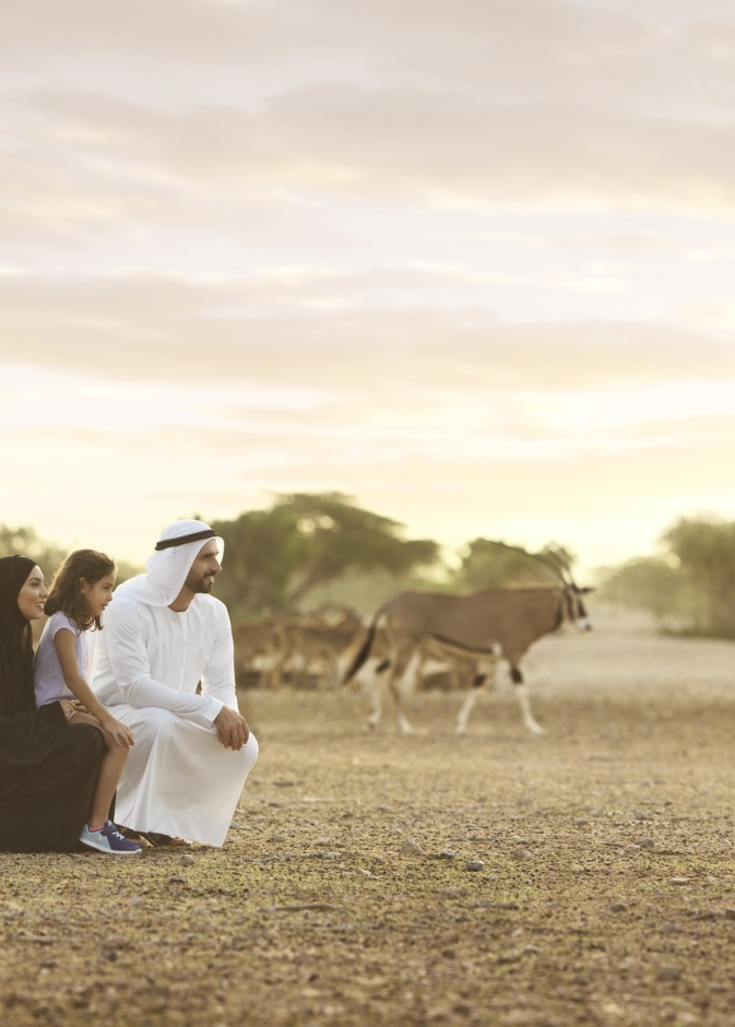 6 تجارب ساحرة لعشاق الطبيعة الخلابة في جزيرة صير بني ياس مع منتجعات أنانتارا
