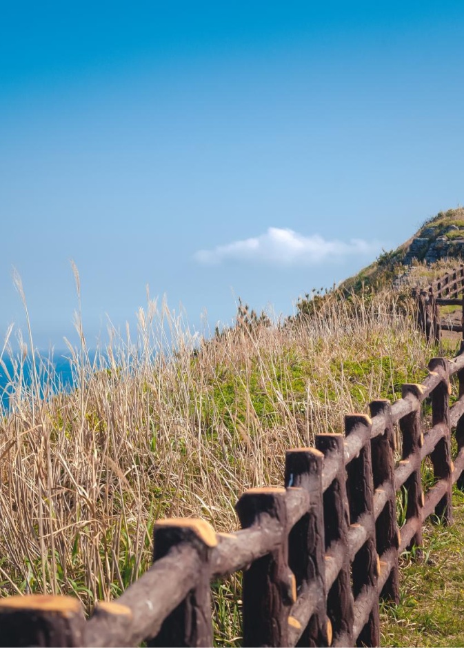 أفضل المواقع السياحية في جزيرة جيجو الكورية الجنوبية