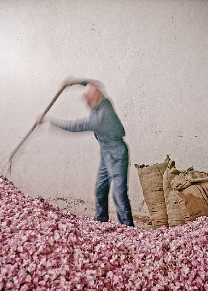 قبيل انطلاقه.. تعرفوا على معرض "عطور الشرق" في محطته الدولية الأولى في الرياض برعاية وزارة الثقافة