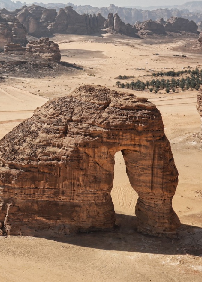  تحت شعار "تراها".. الهيئة السعودية للسياحة تطلق برنامج صيف السعودية 2024 
