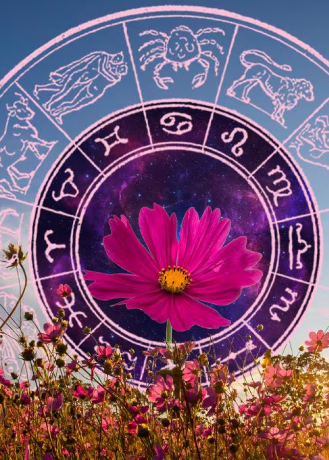 تأثير الانقلاب الصيفي 2024 على كل برج