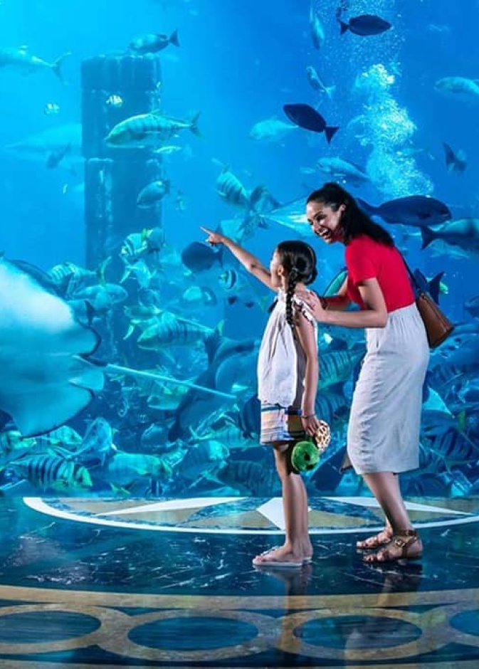 إليكم أبرز فعاليات الموسم الجديد من "مفاجآت صيف دبي"