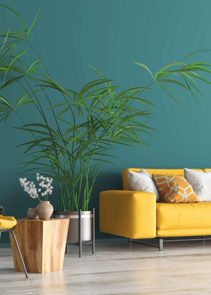 تناسب البيوت الحديثة الألوان الجريئة والحيوية بشكل أكبر