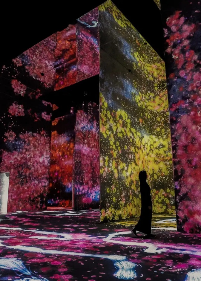 خاص "هي": حينما يلتقي الفن بالتقنية .. متحف “تيم لاب بلا حدود” يفتتح أبوابه في جدة