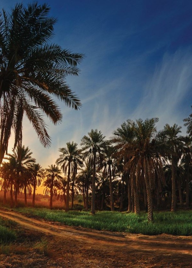 8 مواقع تراثية سعودية مسجلة في قائمة التراث العالمي لليونسكو