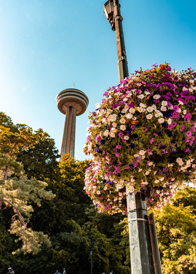 حديقة برج الزهور (Flower Tower Park)