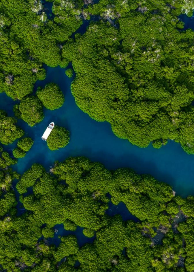 أبحروا بين جمال الطبيعة البكر في جزر فرسان.. إليكم أجمل التجارب