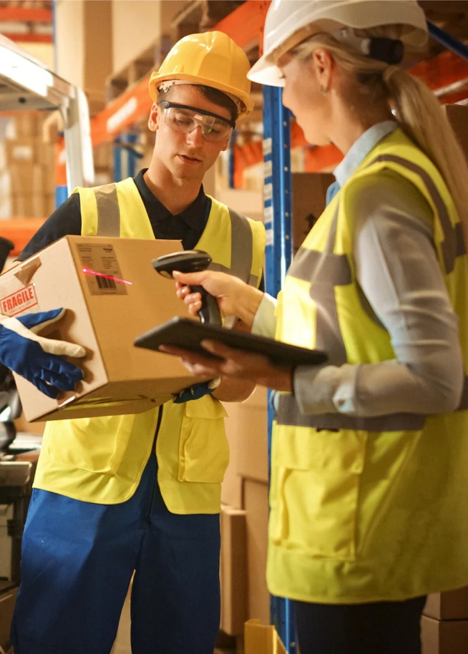 ما هو نوع شخصية اللوجستي؟